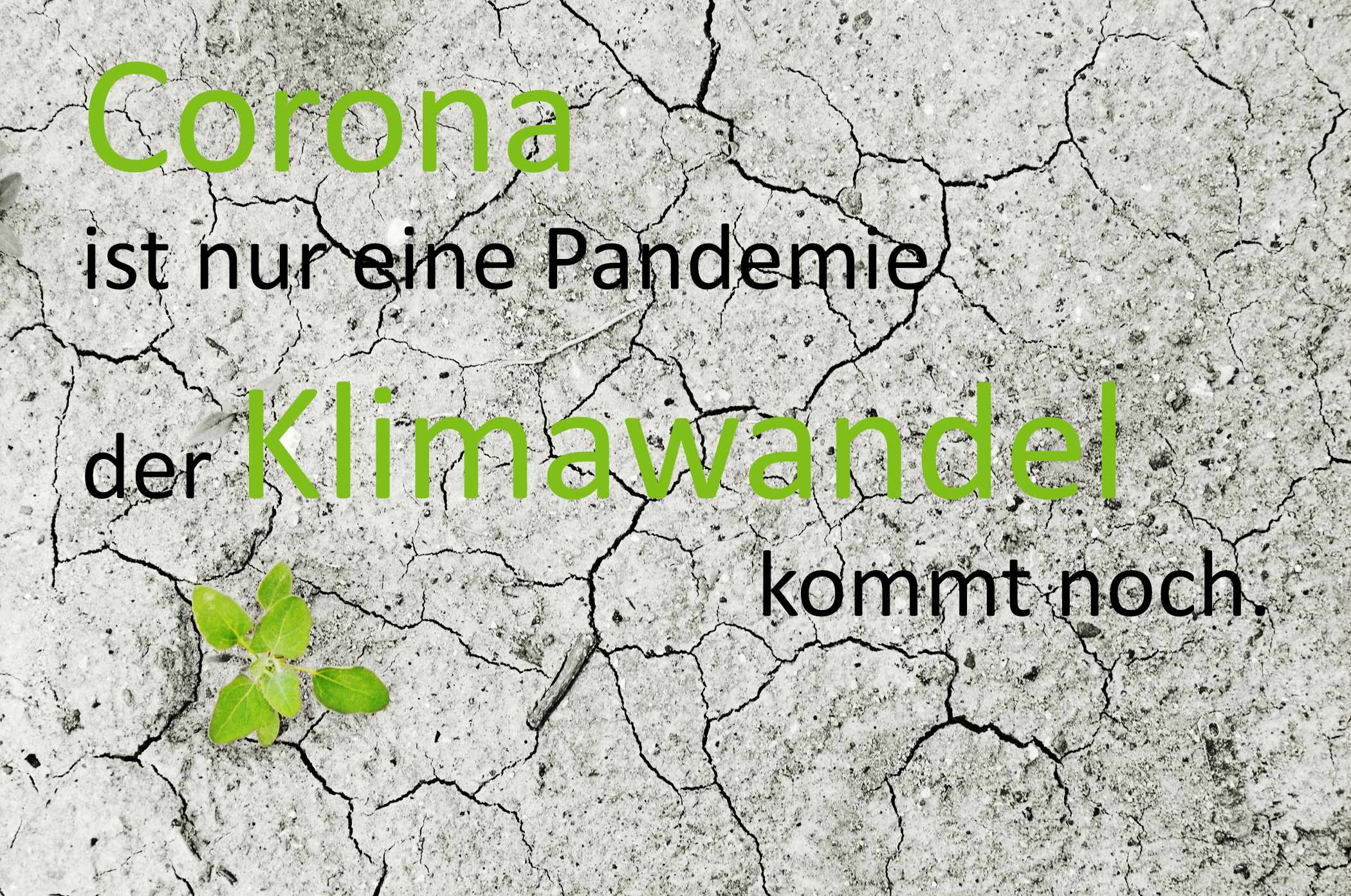 Corona ist nur eine Pandemie ...