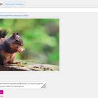 KI generierte Bildbeschreibung in WordPress Mediathek