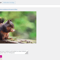 KI generierte Bildbeschreibung in WordPress Mediathek