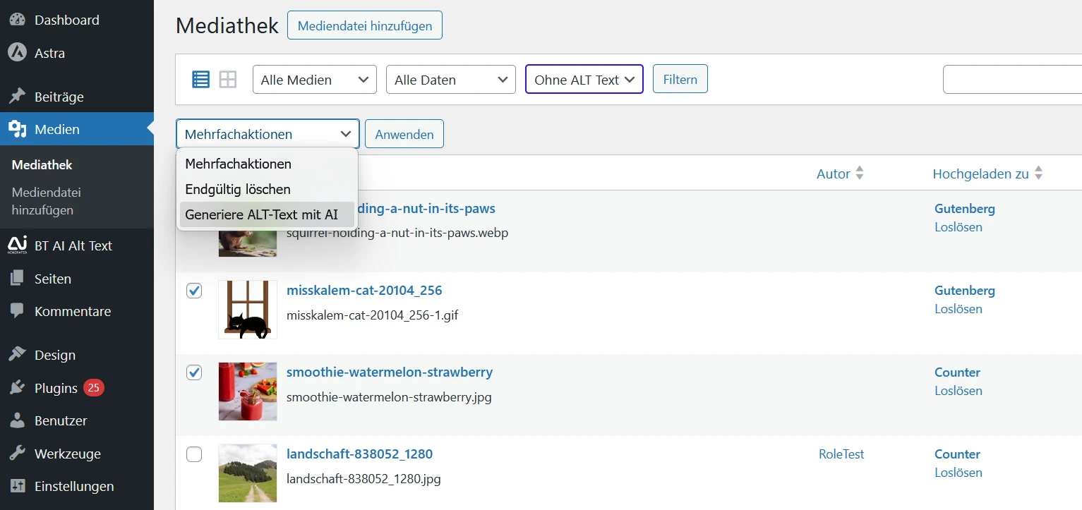 Massenverarbeitung mit KI durch Auswahl von Bildern in der Medienbibliothek